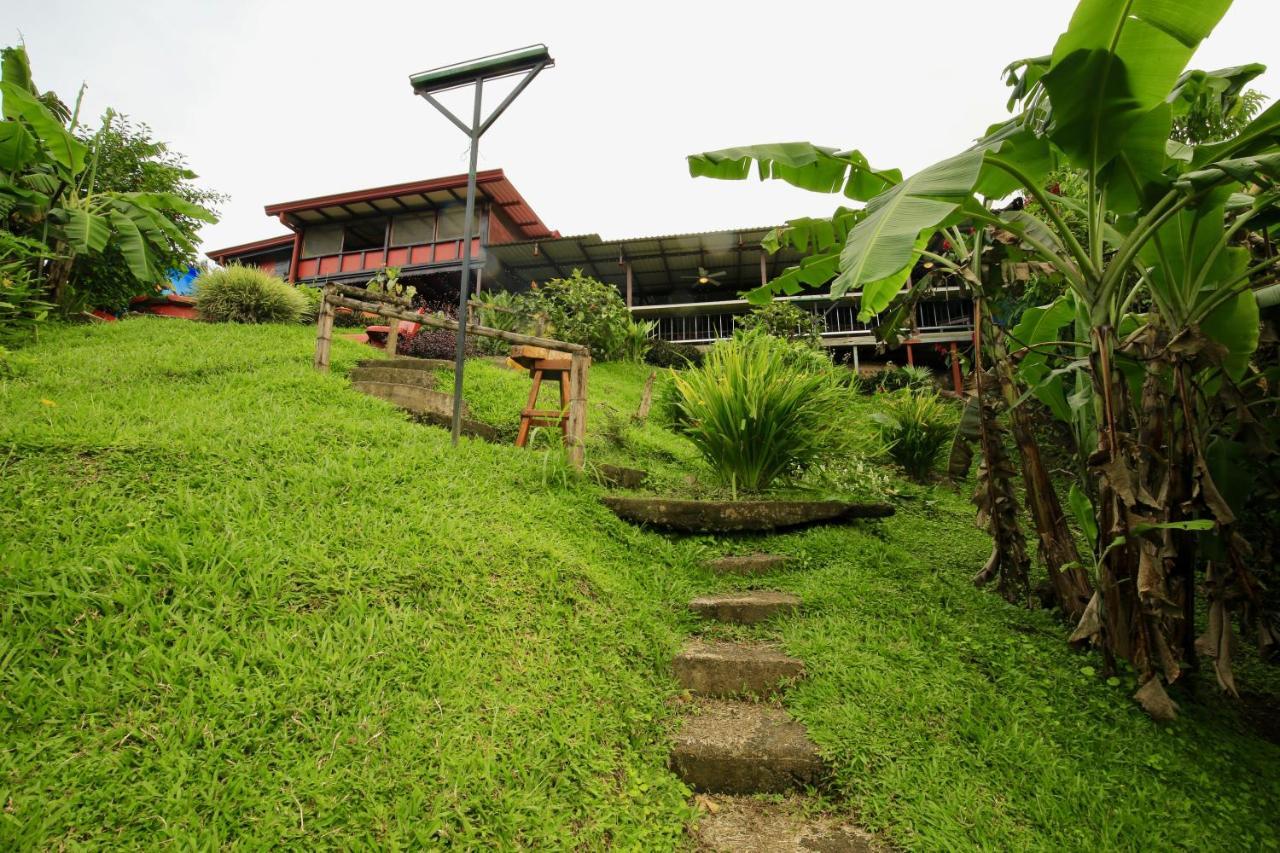 Toucan Lane Hotel And Restaurant Nuevo Arenal Zewnętrze zdjęcie
